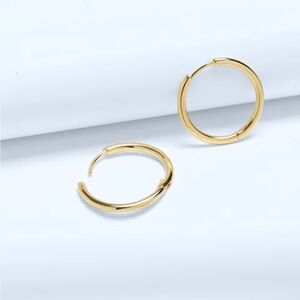 NWT Madewell Demi-Fine Medium Hoop Earrings